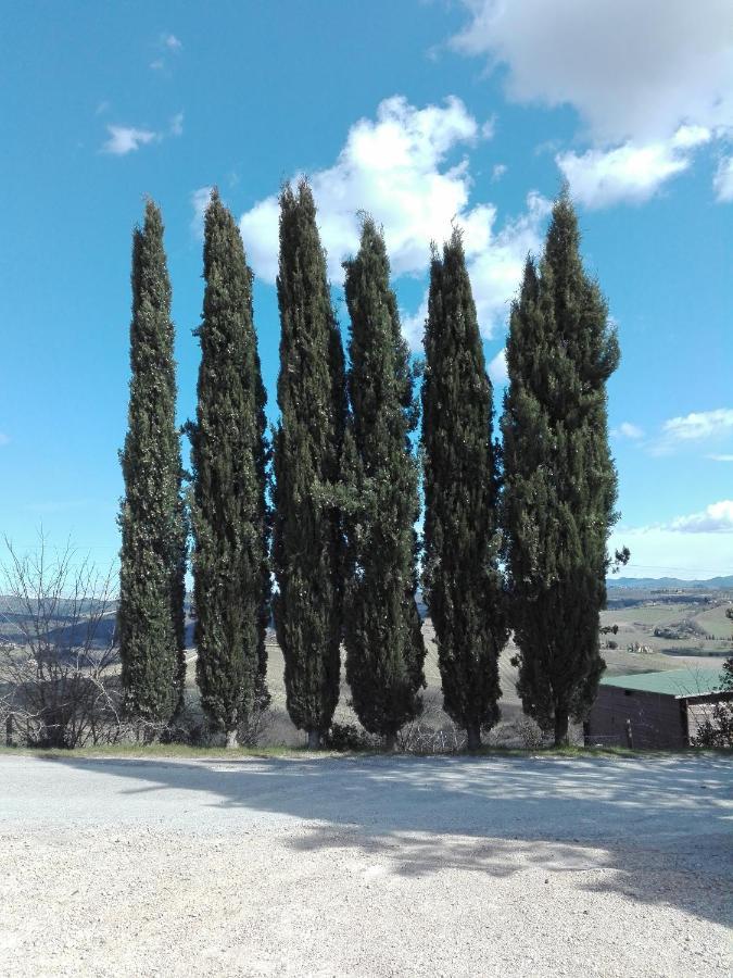 Country House Martina Castelnuovo Berardenga Buitenkant foto
